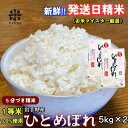 【ふるさと納税】★スーパーで買えない栄養と美味しさ★ひとめぼれ【5分づき精米】5kg×2 令和6年産 盛岡市産 ◆当日精米発送・1等米のみを使用したお米マイスター監修の米◆　お届け：2024年10月上旬より順次発送