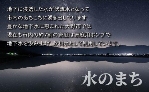 【令和5年産】【12ヶ月定期便】こしひかり 3kg×12回 計36kg【白米】「エコファーマー米」水のまちのお米 [E-003002]