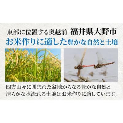 ふるさと納税 大野市 【令和7年産 】大野産コシヒカリ(白米)5kg【大野ブランド米 名水育ち】 |  | 01