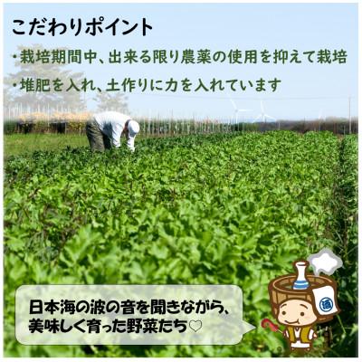 ふるさと納税 あわら市 【毎月定期便】農家直送 旬の野菜セット 7品目以上全3回 |  | 01