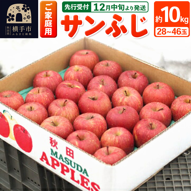 【ご家庭向け】サンふじ 約10kg (28～46玉) りんご 林檎