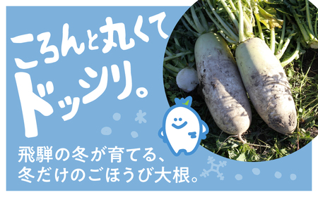 甘っ！寒熟だいこん 約4.5kg 2～6本 / 野菜 だいこん