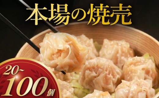 ＼TVで多数紹介!／ 肉汁たっぷり 焼売 100個 小分け 冷凍 お弁当 おかず しゅうまい シュウマイ 晩ごはん 夕ご飯 おつまみ リピーター syumai SHUMAI常備 中華 中華料理 惣菜 手作り 豚まん専門店龍福 二見 大阪府 松原市