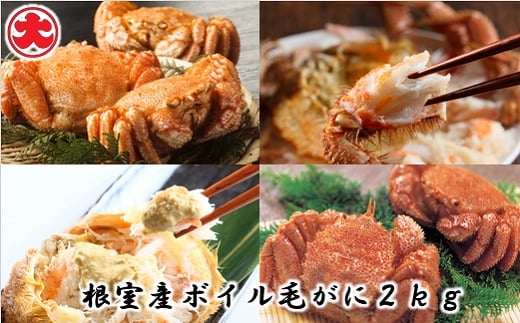D-01054【12/21まで年内配送】 【北海道根室産】ボイル毛がに400g×5尾(計2kg)