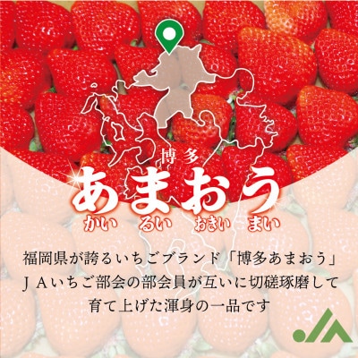 博多あまおう4パック(春)『2024年3～4月発送』【配送不可地域：離島・北海道・沖縄県・東北】