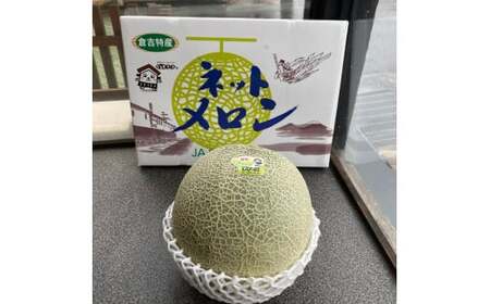【倉吉産】ディーバメロン 約2.7kg（10月発送） ディーバメロン