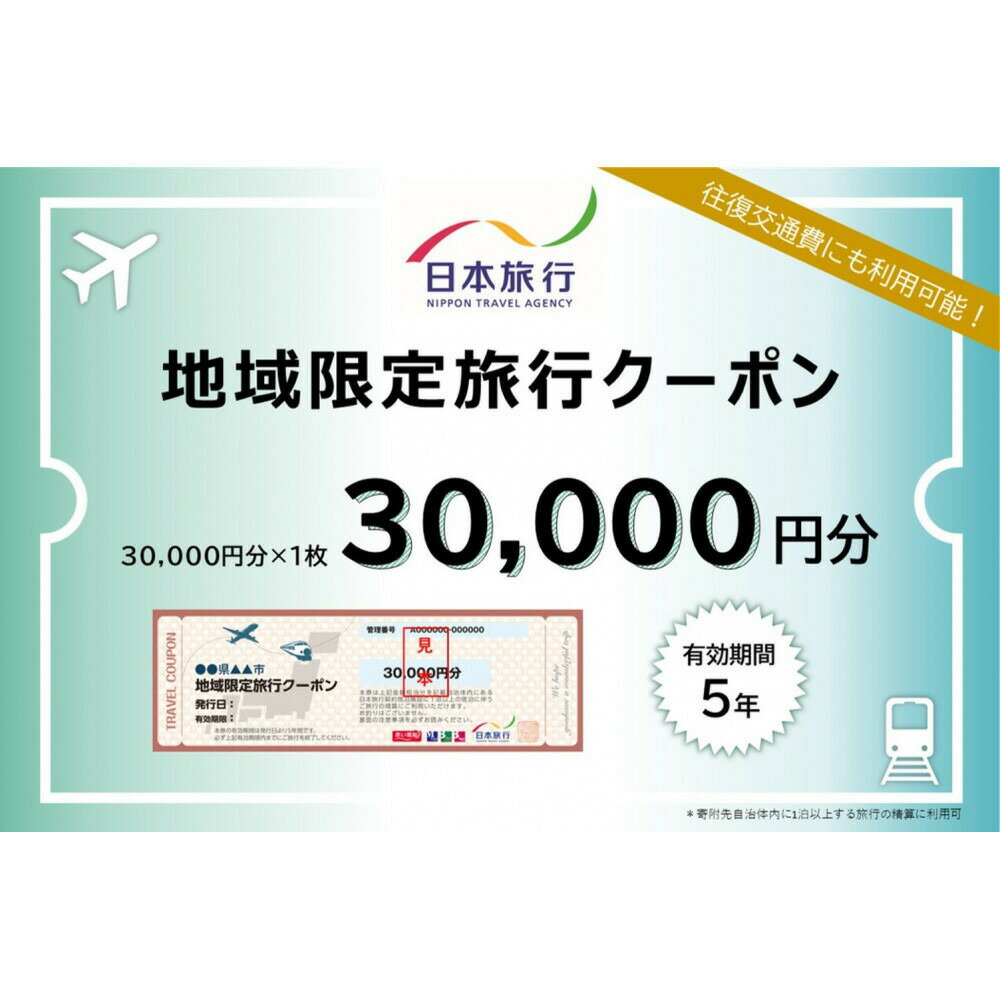 【ふるさと納税】旅行 福岡 日本旅行 地域限定 旅行クーポン 30,000円分 福岡県 福岡市 施設利用券 利用券 トラベル クーポン 旅行券 宿泊券 宿泊 チケット ホテル 旅館 観光 国内旅行 出張 予約
