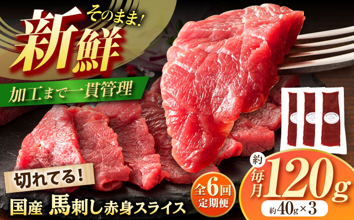 【全6回定期便】まな板不要! フジチク 切れてる 国産馬刺し 3P 計約120g【株式会社フジチク】 [BHAD103]