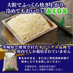 【先行予約・9月以降順次発送】令和7年　ひたちなか市産　特栽・特選ふくまる(玄米)10kg×1袋【1641940】