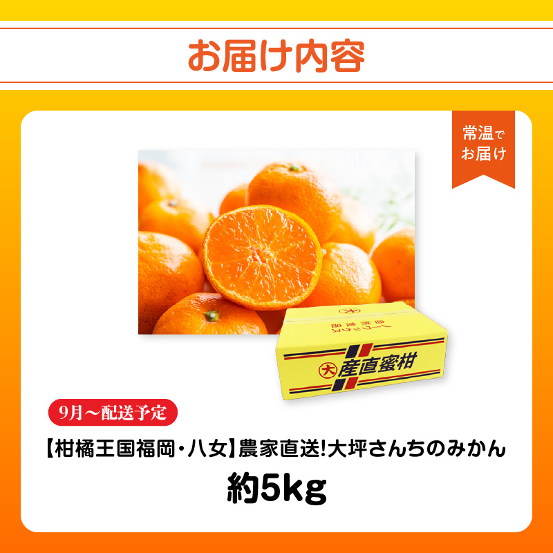 【9月上旬～2月下旬配送予定】【柑橘王国福岡・八女】農家直送！大坪さんちのみかん みかん 立花町 大坪農園 農産直売所 安心安全 肥料配合 福岡県 八女