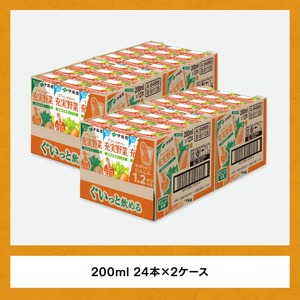 【6ヶ月定期便】伊藤園 充実野菜 緑黄色野菜ミックス（紙パック）200ml×48本 【 全6回 伊藤園 飲料類 野菜ジュース 野菜 ジュース ミックスジュース 飲みもの】