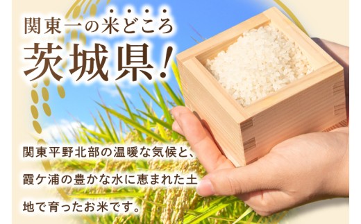 米 コシヒカリ 精米 5kg 令和8年産 茨城県産 お米 こめ コメ ごはん 白米 こしひかり 茨城県産米 単一米 単一原料米 安心 安全 送料無料 国産 人気 数量限定 （85-R8i025_05）