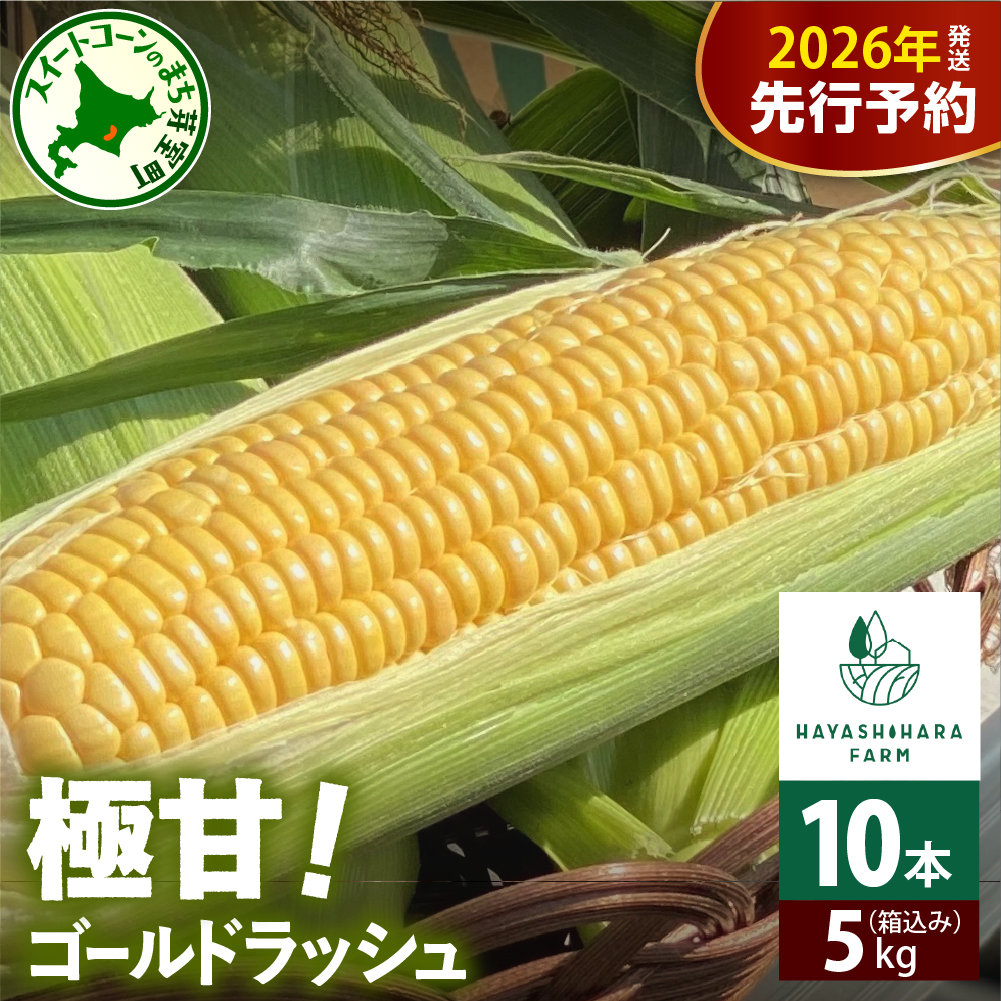 【先行受付】【2026年7月下旬～8月上旬まで配送予定】北海道十勝芽室町 極甘とうもろこし ゴールドラッシュ 10本 me028-001c-26