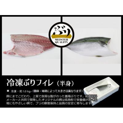 ふるさと納税 垂水市 【鹿児島産ぶり】冷凍・ぶりフィレ(半身1枚) |  | 01