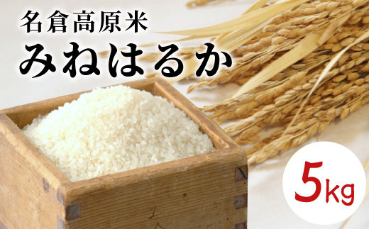 令和7年度産★順次発送～名倉高原米「みねはるか」5kg お米 米 -016