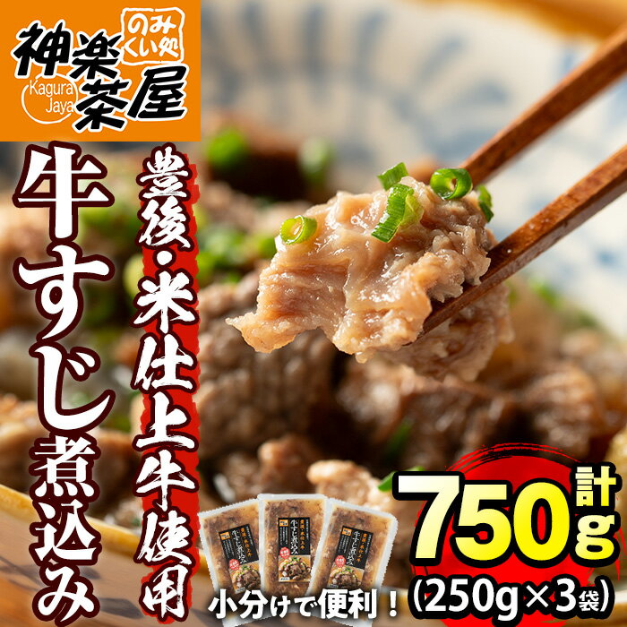 【ふるさと納税】豊後米仕上げ牛 牛すじ煮込み(計750g・250g×3パック)牛肉 お肉 おかず おつまみ 小分け 簡単調理 時短 冷凍 惣菜【111100201】【神楽茶屋】