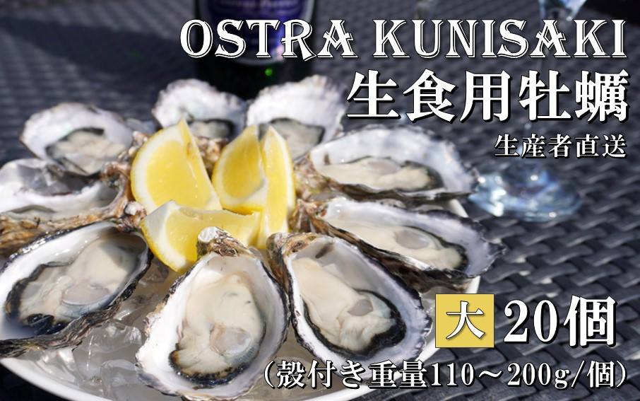 
            生食用殻付き牡蠣「Ostra Kunisaki」大きいサイズ20個（殻付き重量110～200g/個）_2361R
          