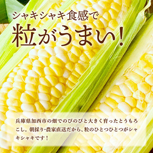 とうもろこし 朝どれ とうもろこし 2027年産【15本 約6kg】【冷蔵】