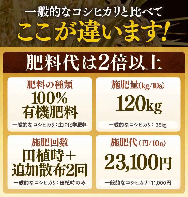 【先行予約】【令和8年産 新米】定期便《6ヶ月連続お届け》コシヒカリ 玄米 5kg × 6回（計30kg）特別栽培米 農薬不使用 化学肥料不使用 ／ 残留農薬ゼロ 高品質 鮮度抜群 福井県産 ブランド