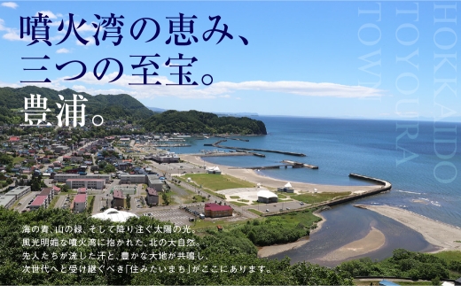 北海道 豊浦町 シャーベット 4種 味くらべ 各5本ずつ（ ブルーベリー、いちご、メロン、りんご ）