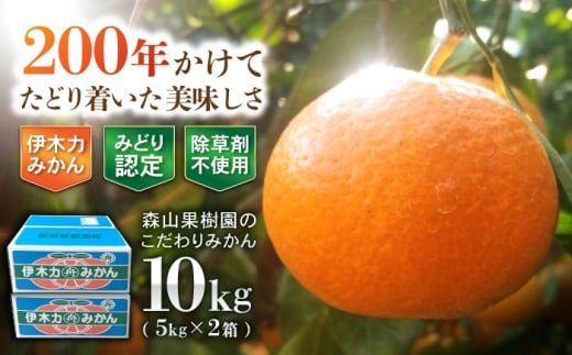 伊木力産　森山果樹園のこだわりみかん　10kg(5kg×2) / みかん ミカン 柑橘 伊木力みかん 温州みかん 10kg / 諫早市 / 森山果樹園 [AHCO010]