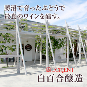 ワイン ロリアン ヴァンムスー甲州（スパークリング）（LRT）A09-762