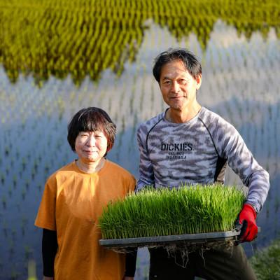 ふるさと納税 津南町 魚沼産コシヒカリ 十六代続く九左衛門の米 10kg(5kg×2袋) |  | 01