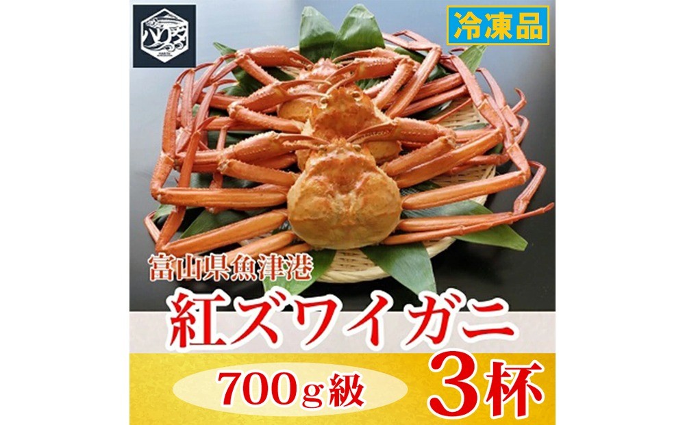 
                  【冷凍】自社漁船直送！魚卸問屋の紅ズワイガニ 700g級×3ハイセット｜かに カニ 蟹 国産ずわい蟹 ずわいガニ 紅ズワイ蟹 紅ずわいがに 紅ずわい蟹 ボイル セットかにしゃぶ 魚貝類 魚介類 海鮮 鮮魚 新鮮 蟹飯 人気 豪華 ご褒美 贅沢 お取り寄せ グルメ カニ味噌 ※2026年9月～発送
                
