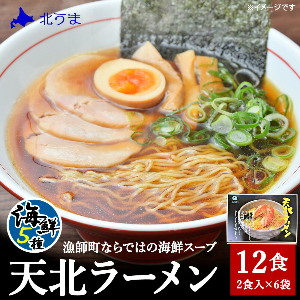 【ふるさと納税】天北ラーメンセット海鮮5種(12食入り) ラーメン 拉麺 麺 みそ 味噌 しお 塩 しょうゆ 醤油 ギフト プレゼント 贈り物 送料無料 【配送不可地域：離島・沖縄県】