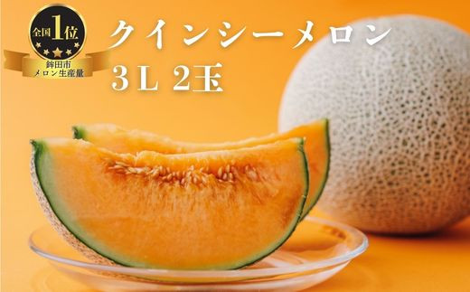 
            クインシーメロン（3L×2玉）
          