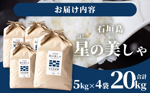 石垣島産 星の美しゃ（ほしのかいしゃ）20kg（5kg×4袋）MK-5