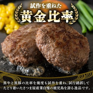 鹿児島黒牛黒豚ハンバーグ(8個・計1.04kg) 国産 九州産 鹿児島県産 お肉 ぶた ブタ 豚肉 牛肉 ミンチ パック 小分け 冷凍 冷凍ハンバーグ おかず 惣菜 調理 お弁当【さつま屋産業】_y4