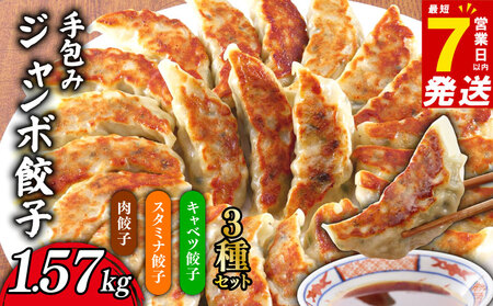 肉餃子 手包み ジャンボ 餃子 3種セット 肉餃子 スタミナ餃子 キャベツ餃子45個 冷凍 【 餃子 】