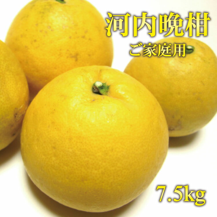 【ふるさと納税】【和製グレープフルーツ】有田育ちの河内晩柑(ご家庭用) 7.5kg ※2026年4月上旬～6月下旬に順次発送予定