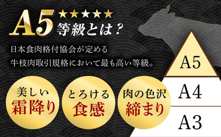 【A5等級】 飛騨牛 モモ ステーキ 2㎏(200g×5枚×2Ｐ) 多治見市 / トキノ屋食品 冷凍 赤身 のし対応 ギフト[THJ005]