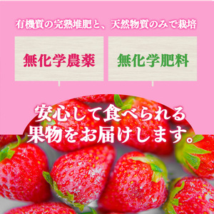 冷凍いちご 約500g (100gx5パック) 奈良県産のいちご