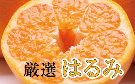＜先行予約＞厳選はるみ2.5kg+250g（傷み補償分）【デコポンの姉妹品種・新食感春みかん】【光センサー選別】※2026年2月～3月下旬ごろに順次発送【ikd048C】