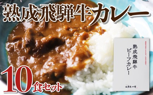 
                  ＜8月から寄附額改定＞満足 たっぷり1食240g！ 熟成飛騨牛ビーフカレー 10食セット 熟成 飛騨牛 和牛 肉 レトルト カレー ライス 米 があれば 簡単料理 パン にも ご当地カレー おすすめ 大盛 大容量 備蓄 常温保存 常備食 保存食 熨斗掛け  50000円 4万円
                
