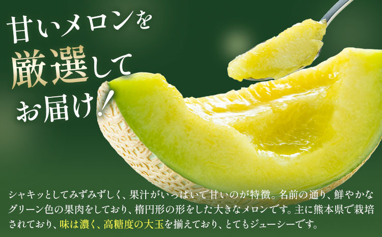  【先行予約】肥後グリーンメロン 2玉 2L以上 くまモン箱【メロンドーム】 有限会社七城町特産品センター《5月中旬-6月中旬頃出荷》熊本県 菊池市 メロン グリーンメロン 果物 フルーツ 熊本県産 