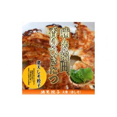 ふるさと納税 春日井市 【猪天しそ餃子】【12ヶ月定期便】春日井の中華料理店四川監修タレなし生餃子「猪天餃子」 12ヶ月 |  | 01