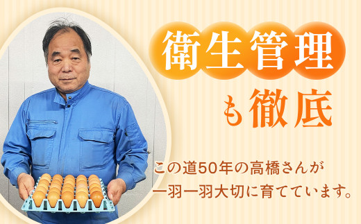 【4ヶ月定期便】赤玉卵「自然のたからもの　黄味恋し」1ケース（10個入り×3パック）×4ヶ月 ※離島への配送不可