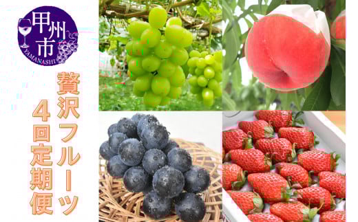 【定期便】贅沢な味わいくだもの定期便4回（KSB）F4-130【もも ブラックビート シャインマスカット 葡萄 ぶどう 令和7年発送 期間限定 山梨県産 甲州市 フルーツ 果物】