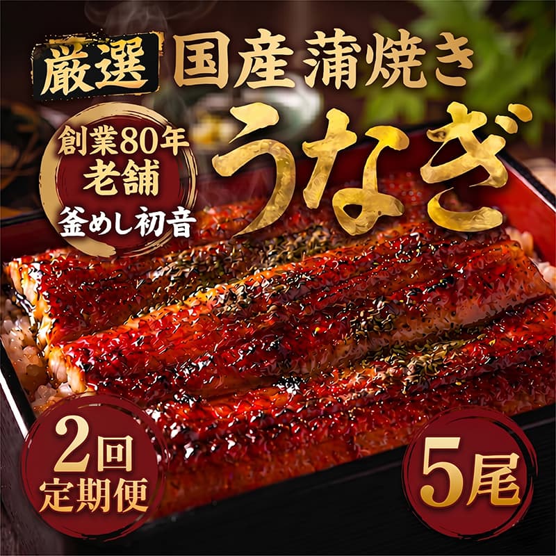 【定期便2回】70年継ぎ足しの秘伝のたれ！初音の厳選高知県産うなぎ蒲焼き5尾（1尾約190g～220g）＿ 国産 うなぎ 鰻 蒲焼き かば焼き タレ付き 高知県産 冷凍 海鮮 うな重 ひつまぶし 人気