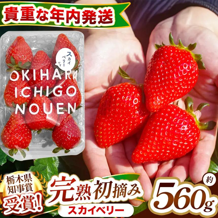 【先行予約】[数量限定] 貴重な12月発送！大粒「初摘み スカイベリー」 280g×2P