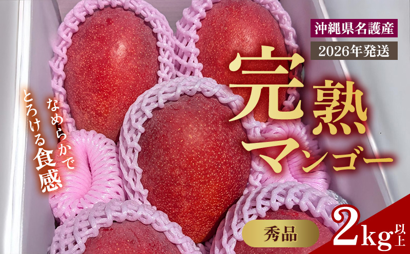 【2025年 先行予約】とろける完熟マンゴー 秀品 2kg以上 秀品 先行予約 沖縄 甘味 糖度 濃厚 おいしい お土産 まんごー アーウィン ギフト プレゼント 果実 くだもの 果物 ふるさと納税 