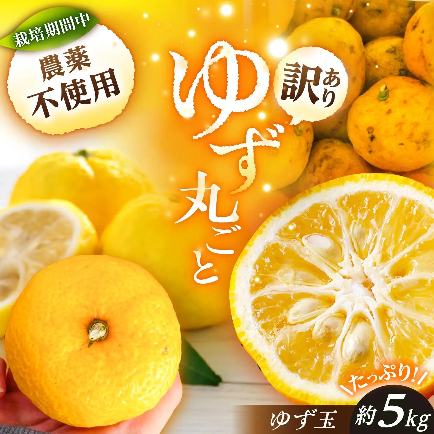 【訳あり】【11月より順次発送】 かさぎのゆず ゆず玉 5kg / 恵那市 / かさぎゆず組合[AUAW019]