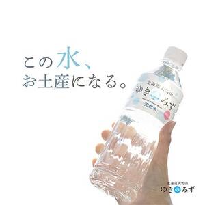 【2ヵ月毎定期便】北海道大雪山　ゆきのみず　550ml×24本入り【633】全4回【4066053】