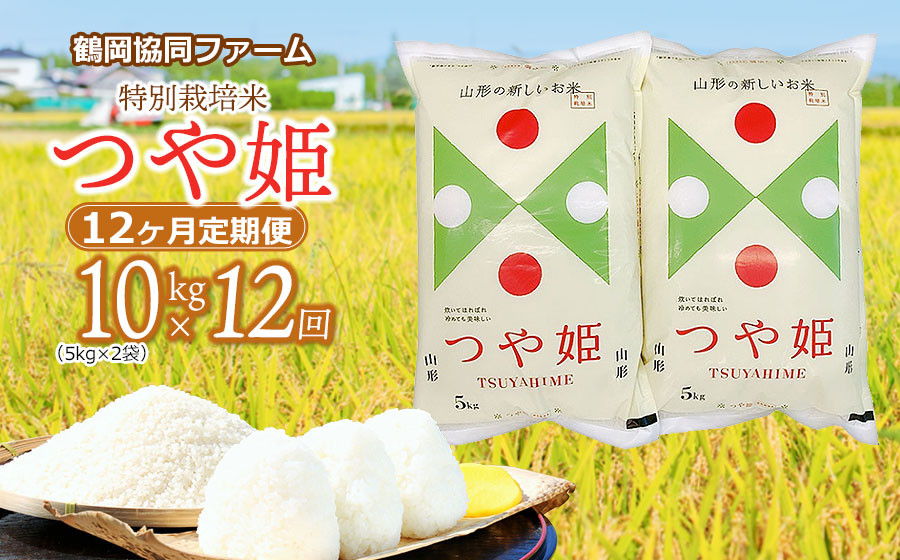 
            【令和7年産先行予約】特別栽培米つや姫 10kg (5kg×2袋)×12ヶ月【定期便】　鶴岡協同ファーム
          