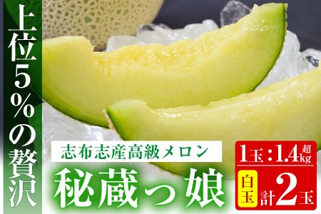 【春限定】極上メロン「秘蔵っ娘」白玉(青肉)2個 メロン マスクメロン 果物 くだもの デザート 青肉 b5-037-s