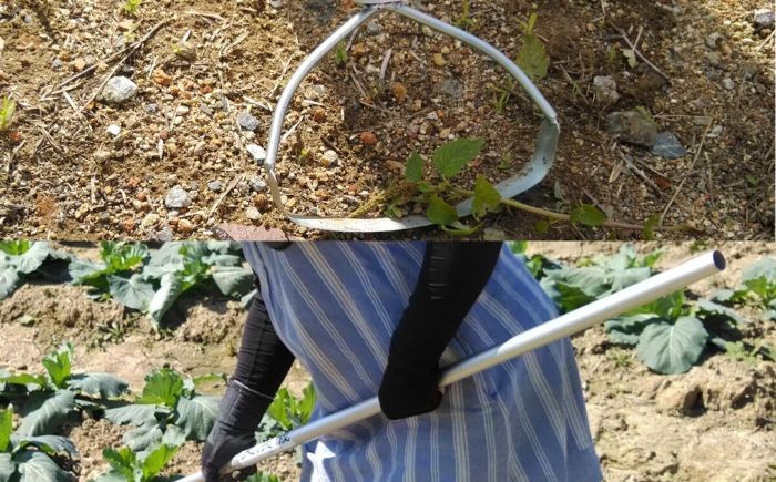 
                  手取り除草機　Qホー（17cm）　《足寄町》【株式会社キュウホー】除草具 農具 草取り 草刈り 農業 農作業 のうさぎょう ガーデニング 庭 園芸 掃除 花 草 雑草 33000 33000円 3万円  [BEBH001]
                